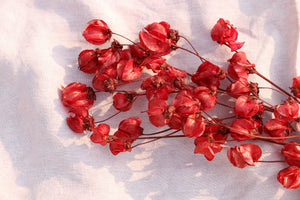 BOUGAINVILLE RED