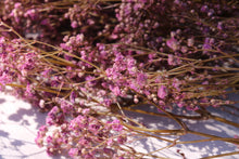 Load image into Gallery viewer, GYPSHOPHILIA PRESERVED LILAC
