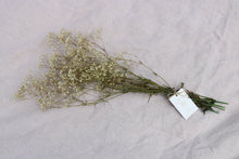 Afbeelding in Gallery-weergave laden, GYPSOPHILIA PRESERVED WHITE