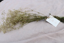Afbeelding in Gallery-weergave laden, GYPSOPHILIA PRESERVED WHITE