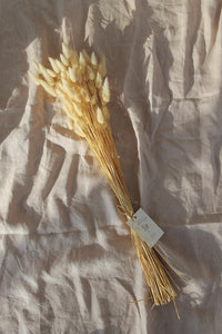 HARE'S TAIL; BLEACHED