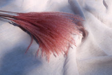 Load image into Gallery viewer, STIPA FEATHER CERISE