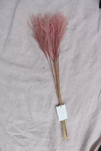 Load image into Gallery viewer, STIPA FEATHER LIGHT PINK
