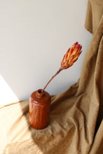 Load image into Gallery viewer, THE BROWN PROTEA
