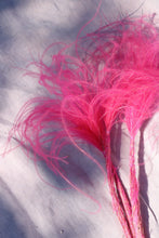 Load image into Gallery viewer, TROLL HAIR PINK