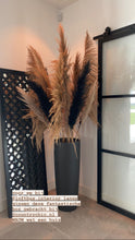 Afbeelding in Gallery-weergave laden, PAMPAS MIX COUNTRYCHIC