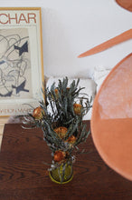 Afbeelding in Gallery-weergave laden, Banksia dryandra (per stuk)