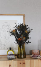 Afbeelding in Gallery-weergave laden, Banksia dryandra (per stuk)