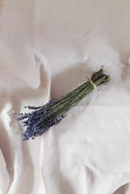 Afbeelding in Gallery-weergave laden, Bosje lavendel