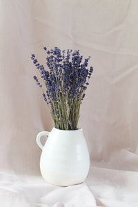 Bunch of Lavender