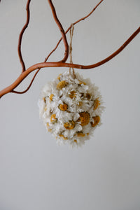 PAASEI FLOWERY WHITE